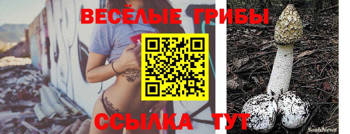 Усть-Джегута  Галлюциногенные грибы MAGIC MUSHROOMS  Вход с VPN  Псилоцибиновые грибы прущие грибы 