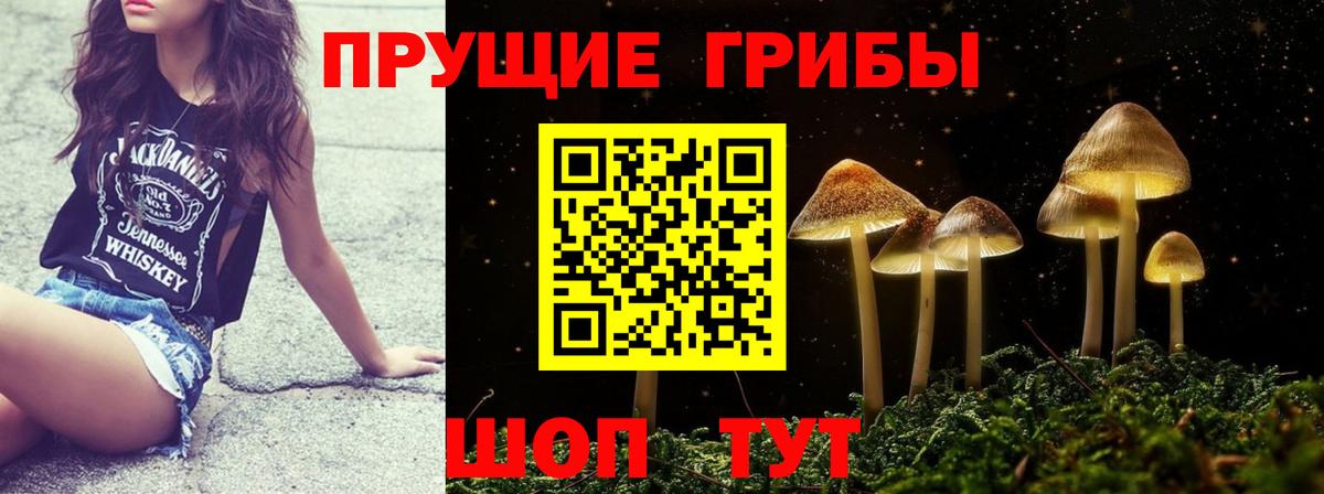 Псилоцибиновые грибы мицелий Усть-Джегута